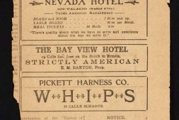 信天翁号考察船标本记述.Notes and description of specimens collected on the Philippine Expedition of the Steamer Albatross.1908年 PDF电子版下载